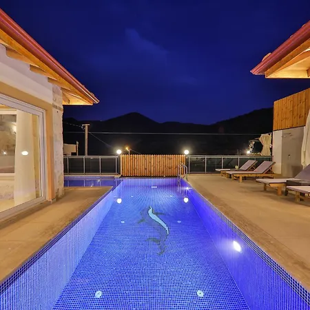 Arikan Vila *